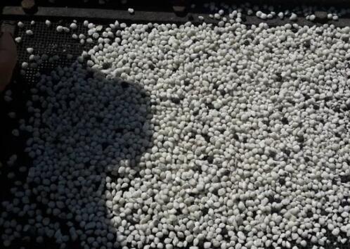 ���I(y��)�}�D���w��